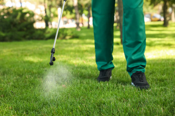 Best Ant Control Services  in Plover, WI